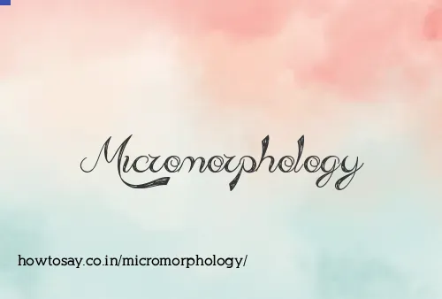 Micromorphology