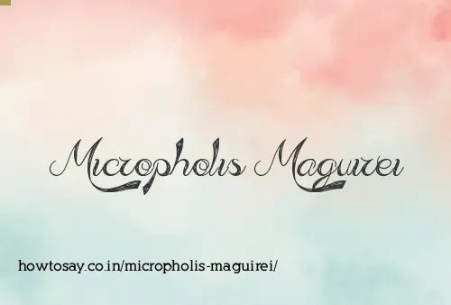 Micropholis Maguirei