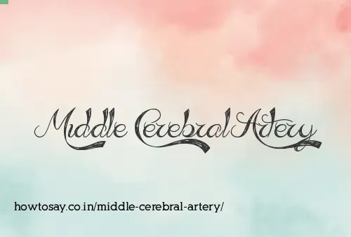 Middle Cerebral Artery