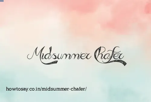 Midsummer Chafer