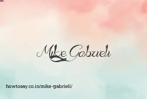 Mike Gabrieli