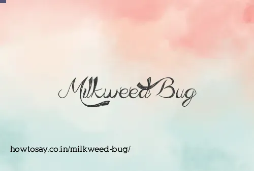 Milkweed Bug