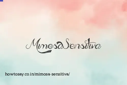 Mimosa Sensitiva