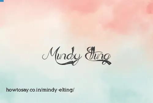 Mindy Elting