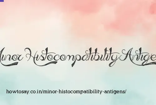 Minor Histocompatibility Antigens