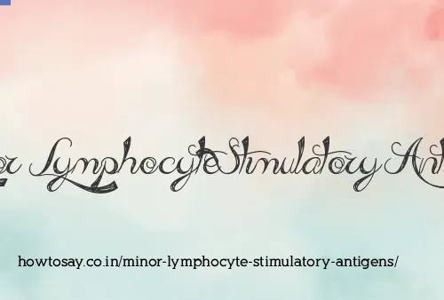 Minor Lymphocyte Stimulatory Antigens