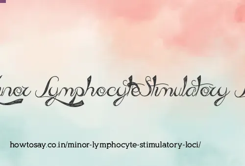 Minor Lymphocyte Stimulatory Loci