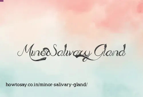 Minor Salivary Gland