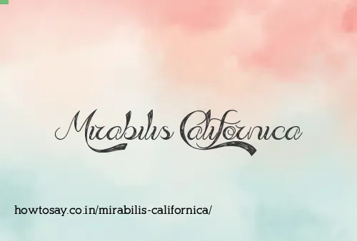 Mirabilis Californica