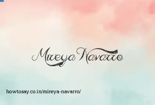 Mireya Navarro