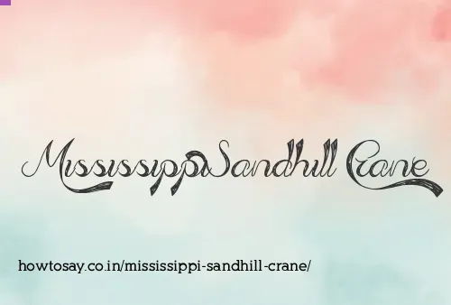 Mississippi Sandhill Crane