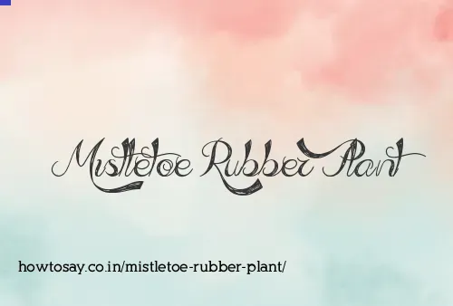 Mistletoe Rubber Plant