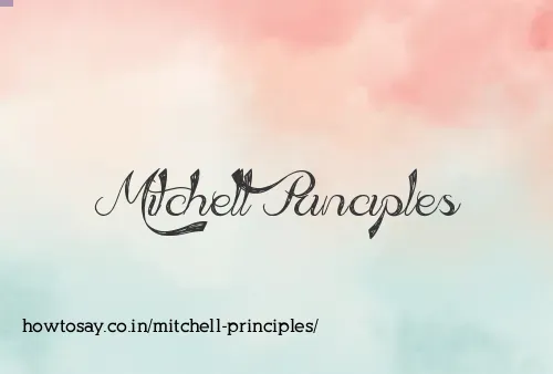 Mitchell Principles