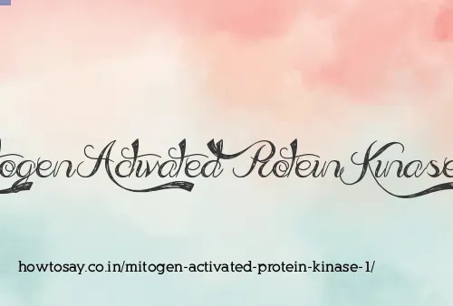 Mitogen Activated Protein Kinase 1