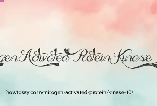 Mitogen Activated Protein Kinase 10
