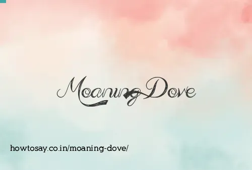 Moaning Dove