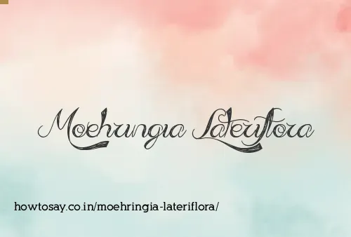 Moehringia Lateriflora