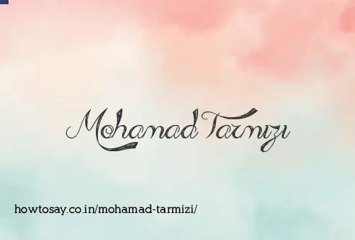 Mohamad Tarmizi