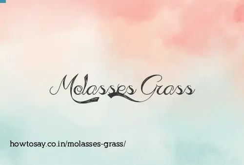Molasses Grass