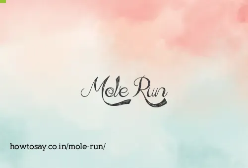 Mole Run
