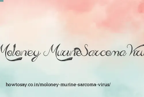 Moloney Murine Sarcoma Virus