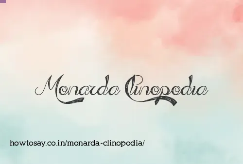 Monarda Clinopodia