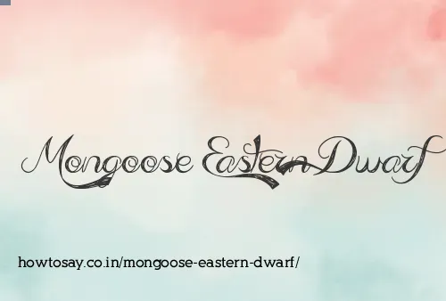 Mongoose Eastern Dwarf