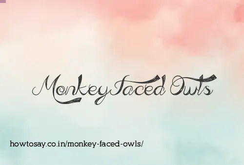 Monkey Faced Owls