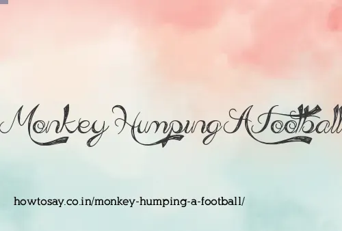Monkey Humping A Football