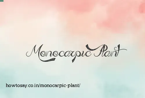Monocarpic Plant