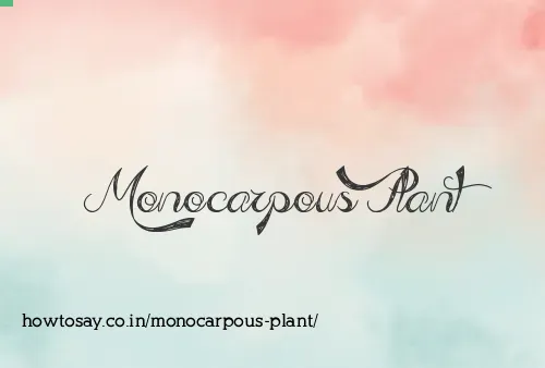 Monocarpous Plant