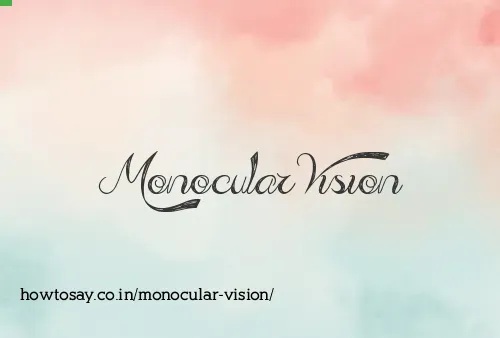 Monocular Vision