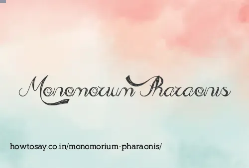 Monomorium Pharaonis