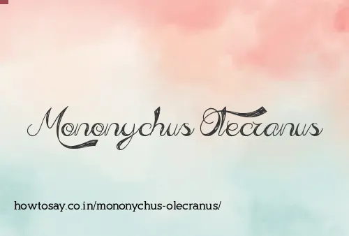 Mononychus Olecranus