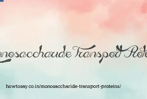 Monosaccharide Transport Proteins