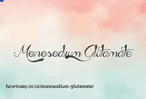 Monosodium Glutamate