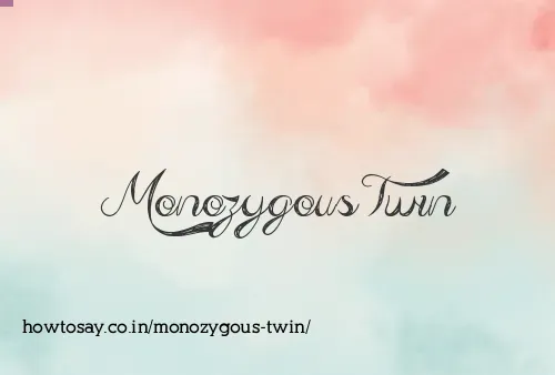 Monozygous Twin