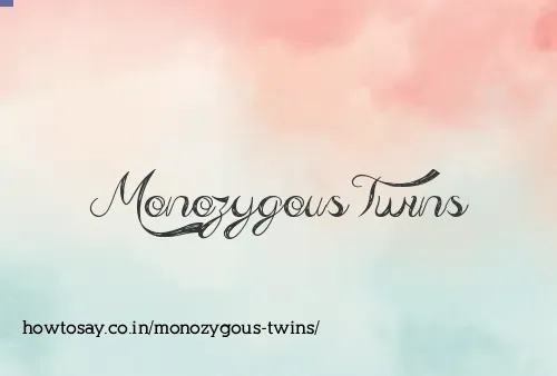Monozygous Twins