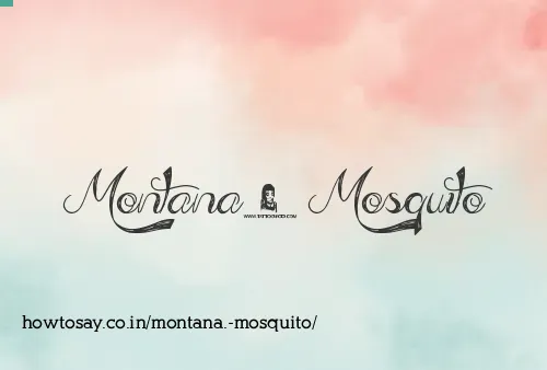 Montana. Mosquito