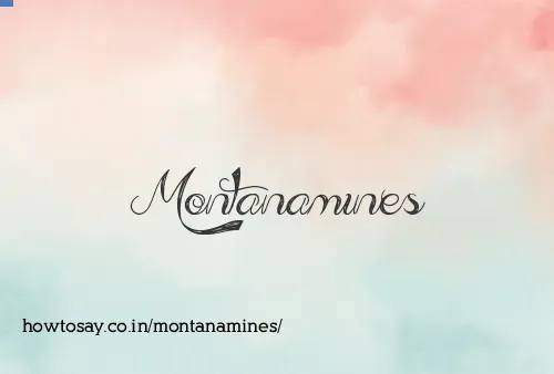 Montanamines
