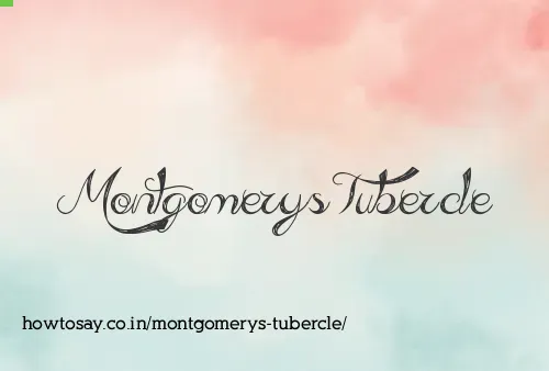 Montgomerys Tubercle
