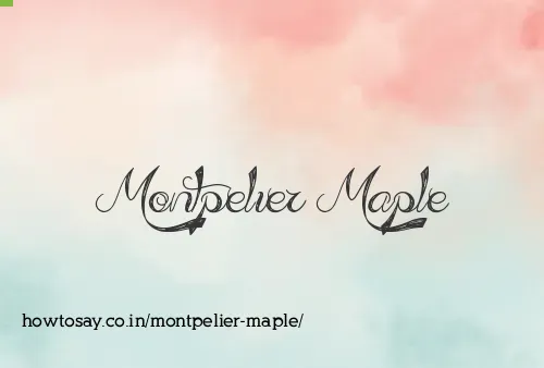 Montpelier Maple