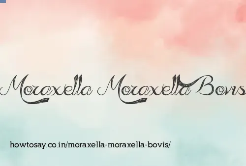 Moraxella Moraxella Bovis