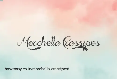 Morchella Crassipes