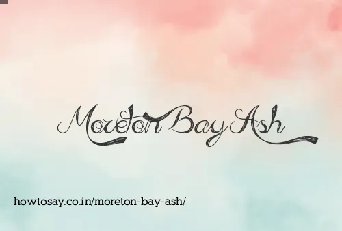 Moreton Bay Ash