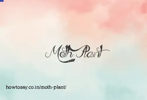 Moth Plant