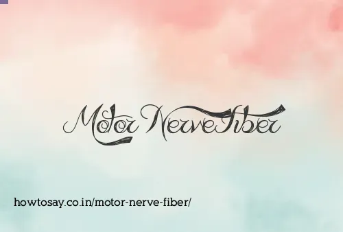Motor Nerve Fiber