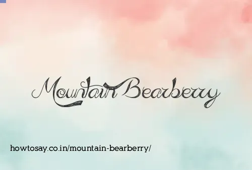 Mountain Bearberry