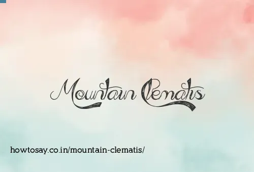 Mountain Clematis