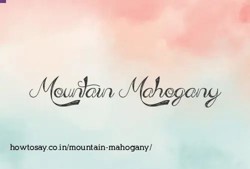 Mountain Mahogany